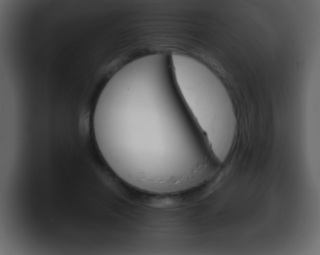 X0000100400454200806060858