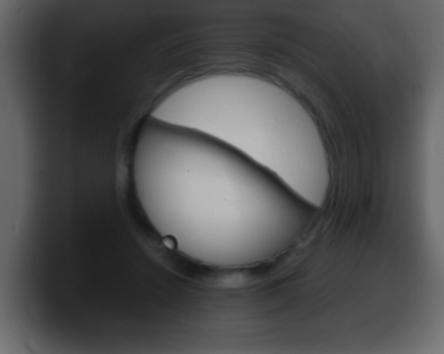 X0000100400456200806060858