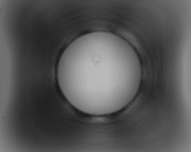 X0000100400457200806060858