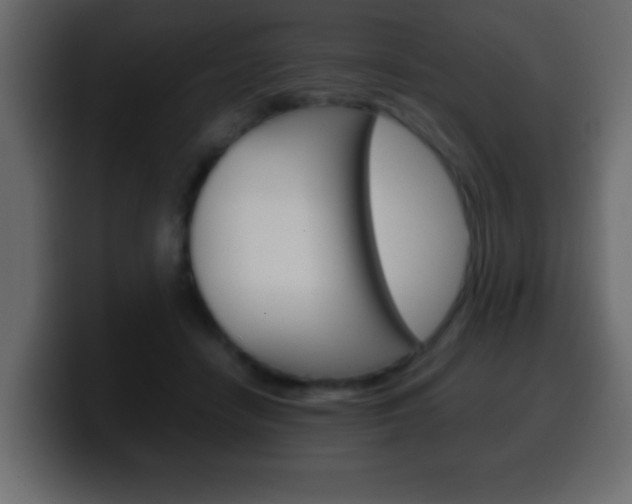 X0000100400458200806060858