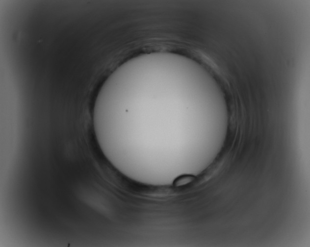 X0000100400459200806060858