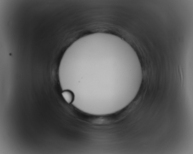 X0000100400460200806060858