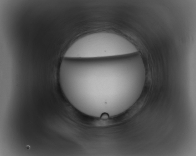X0000100400461200806060858