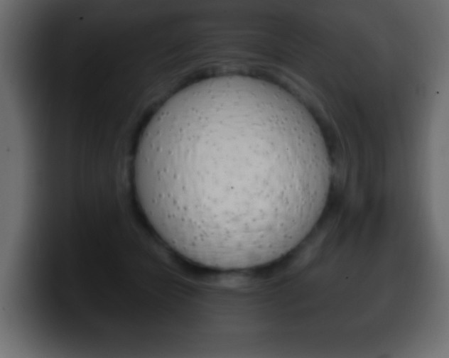 X0000100400462200806060858