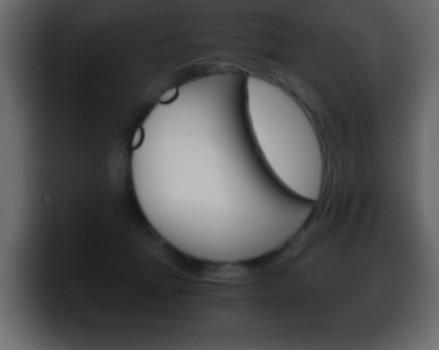 X0000100400463200806060858
