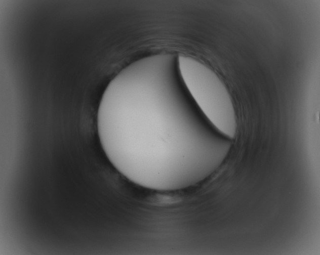 X0000100400464200806060858