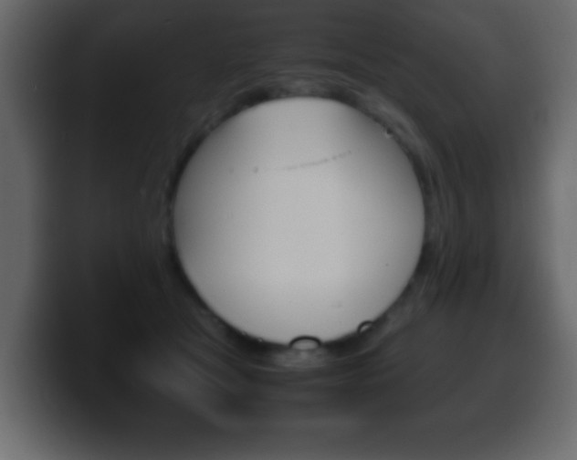X0000100400465200806060858