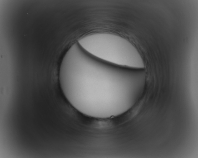 X0000100400466200806060858