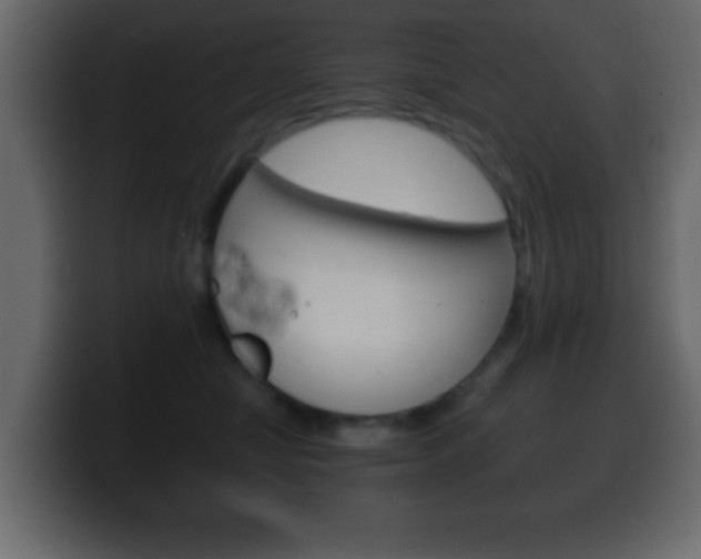 X0000100400470200806060858