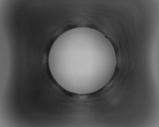 X0000100400472200806060858