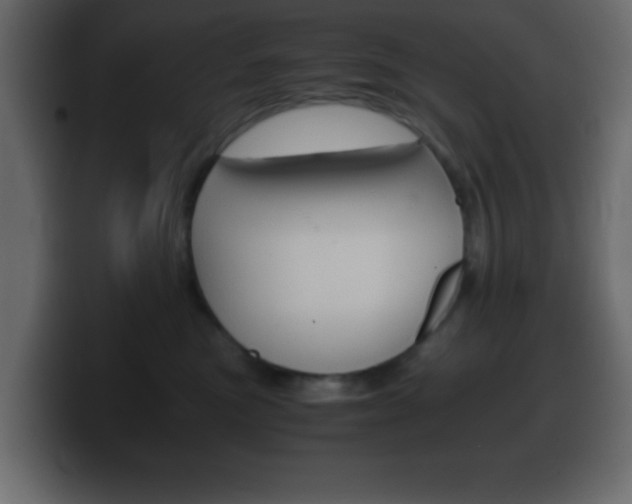 X0000100400473200806060858