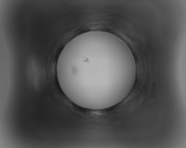 X0000100400475200806060858