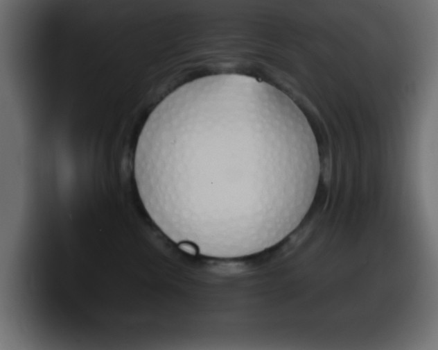 X0000100400476200806060858
