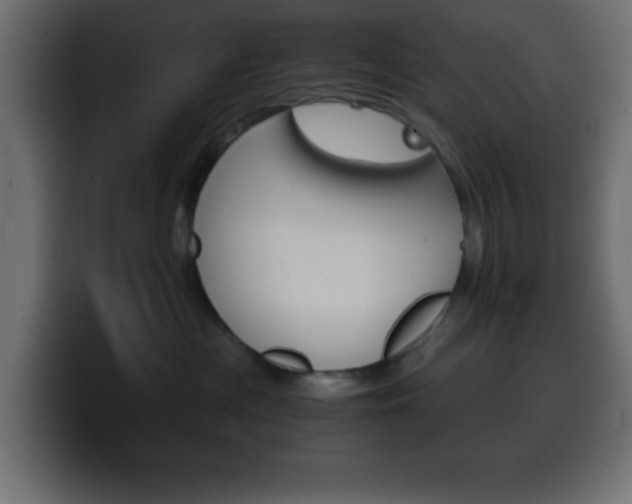 X0000100400477200806060858