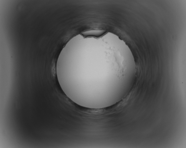 X0000100400479200806060858