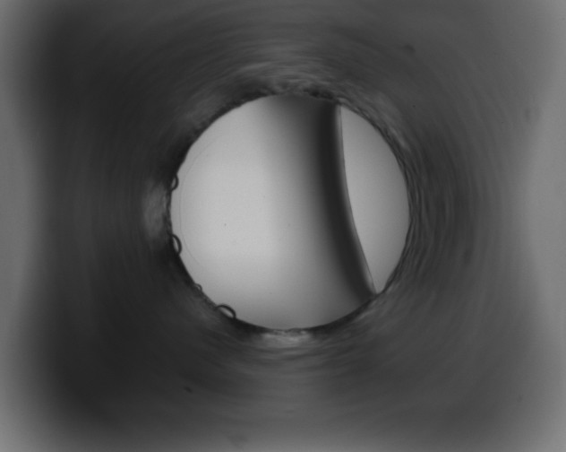 X0000100400480200806060858