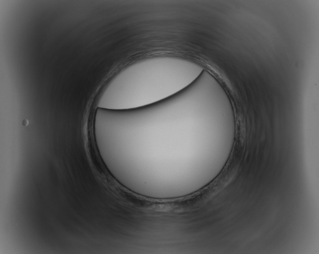 X0000100400482200806060857