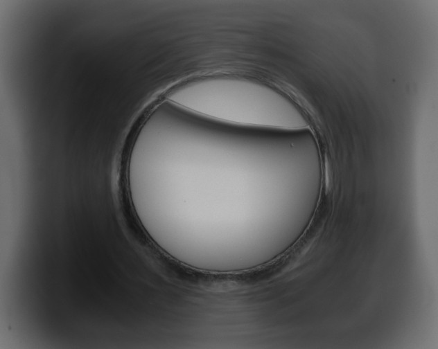 X0000100400483200806060857