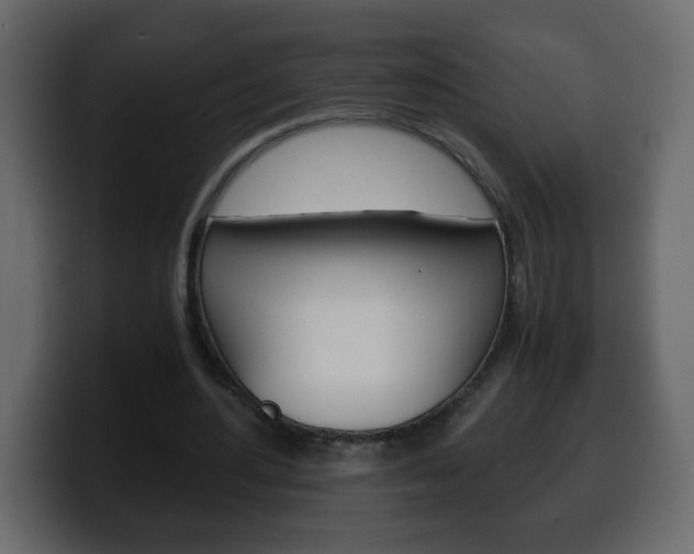 X0000100400484200806060857