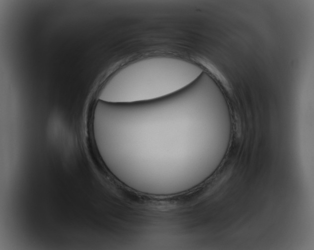 X0000100400486200806060857