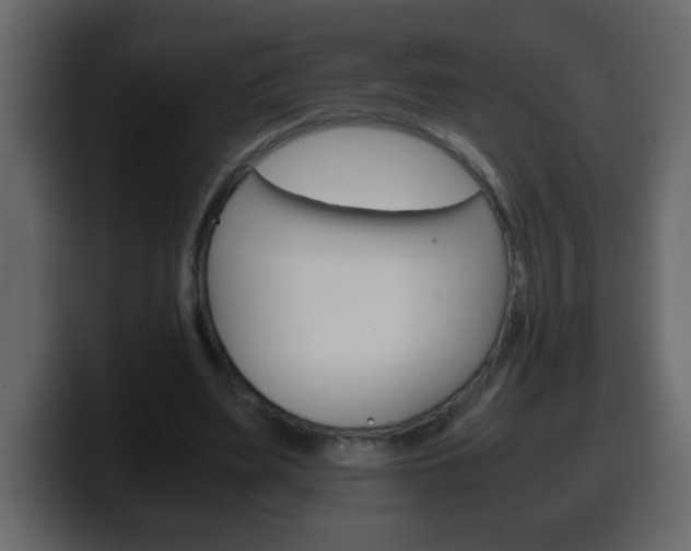 X0000100400487200806060857