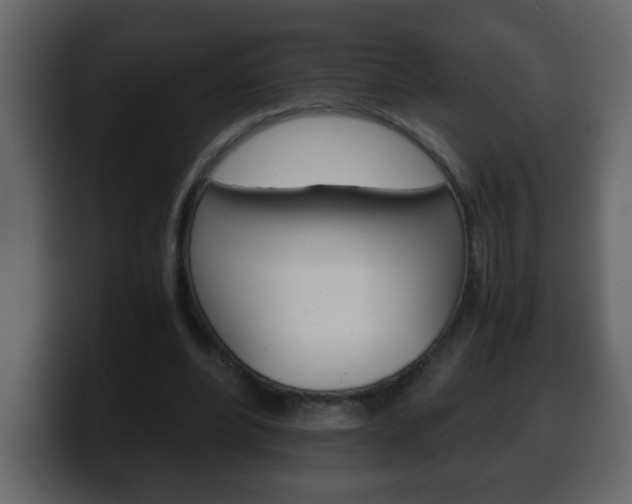 X0000100400488200806060857