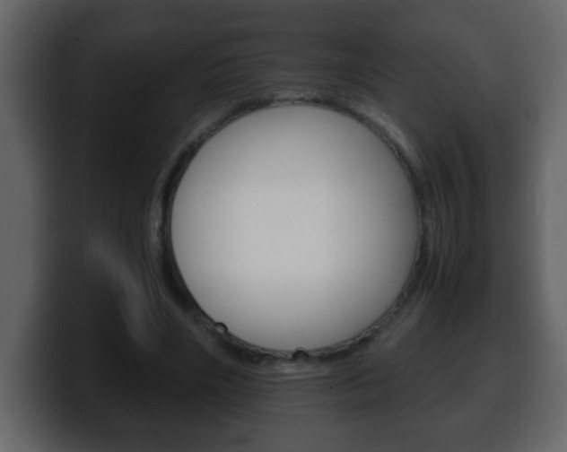 X0000100400490200806060857