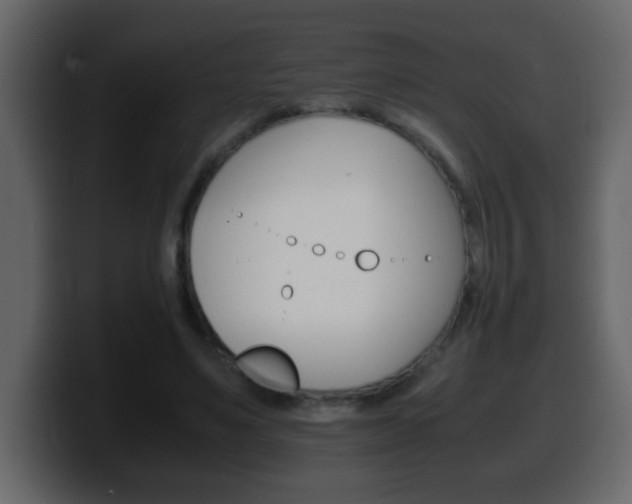 X0000100400491200806060857
