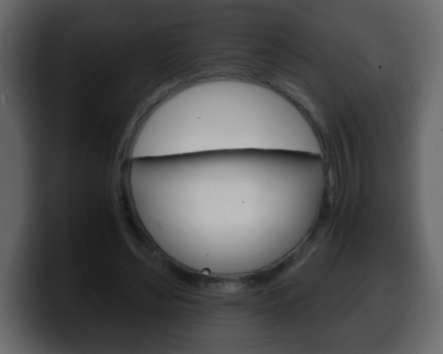 X0000100400492200806060857