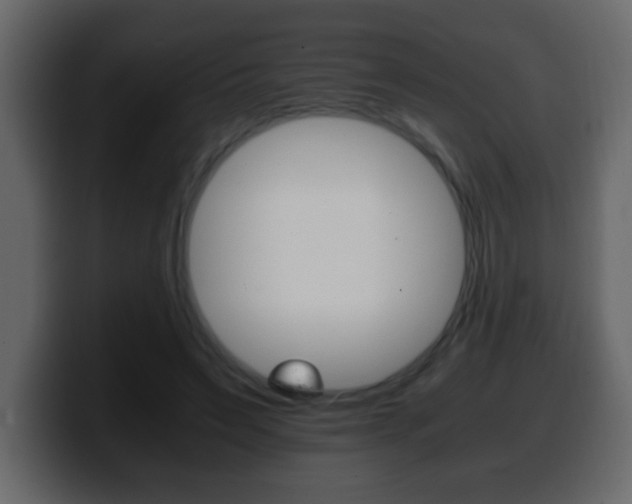 X0000100400495200806060857