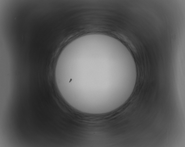 X0000100400496200806060857