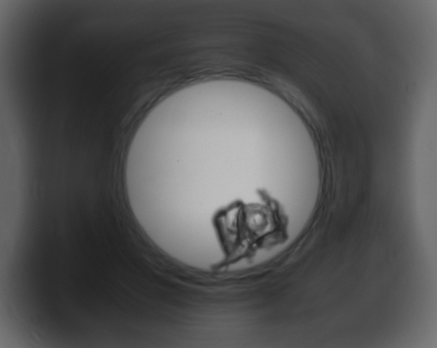 X0000100400501200806060857