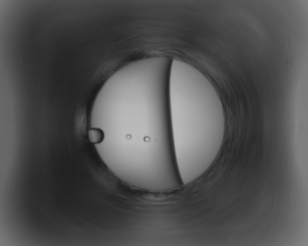 X0000100400502200806060857