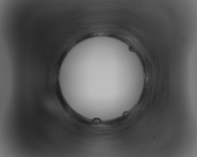 X0000100400503200806060857