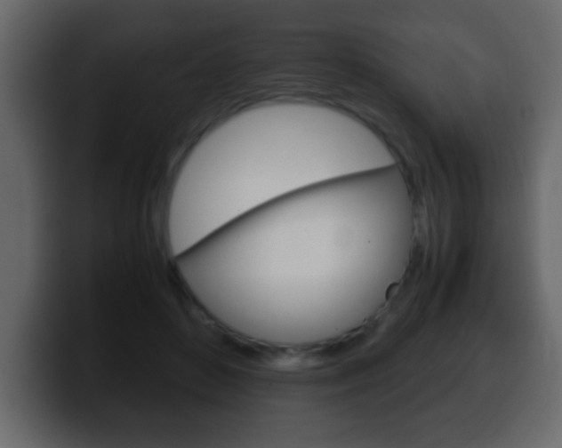 X0000100400504200806060857