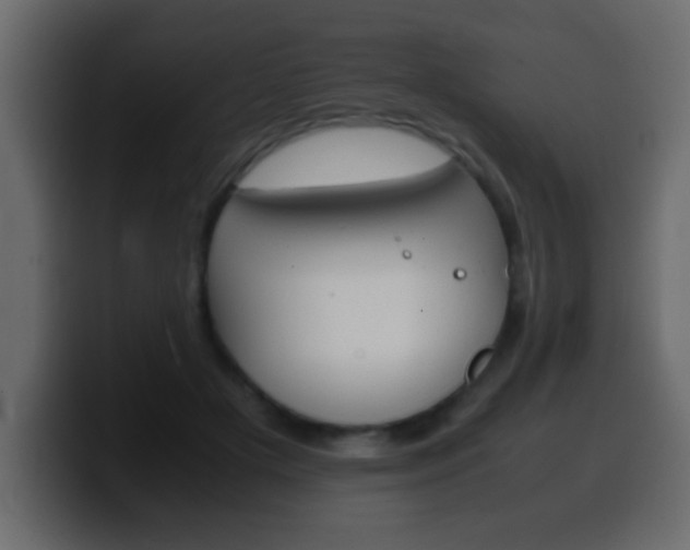 X0000100400505200806060857