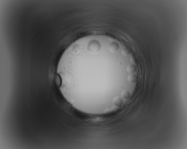 X0000100400507200806060857