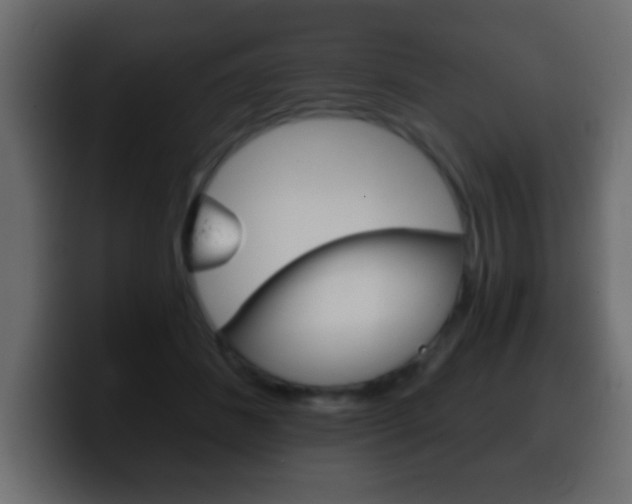 X0000100400508200806060857