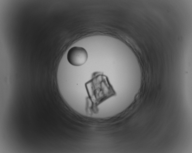 X0000100400509200806060857