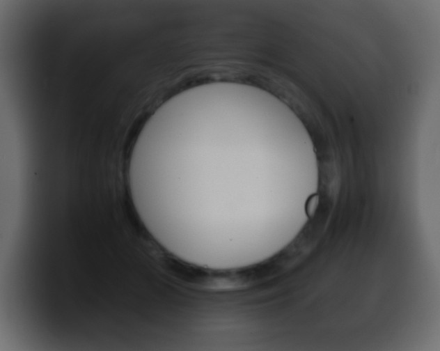 X0000100400510200806060857