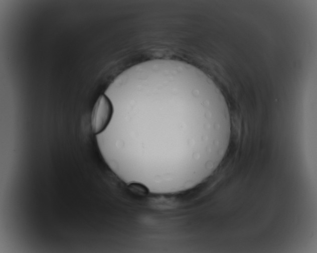 X0000100400511200806060857