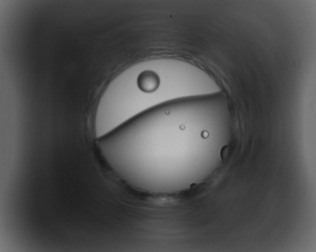 X0000100400512200806060857