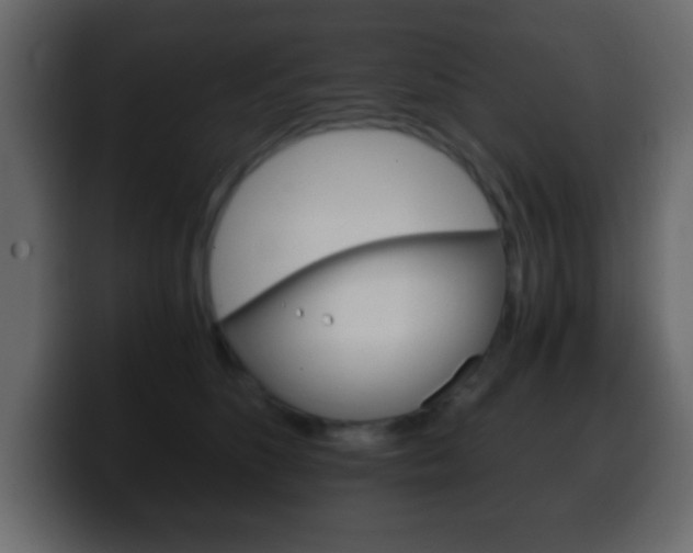 X0000100400516200806060857