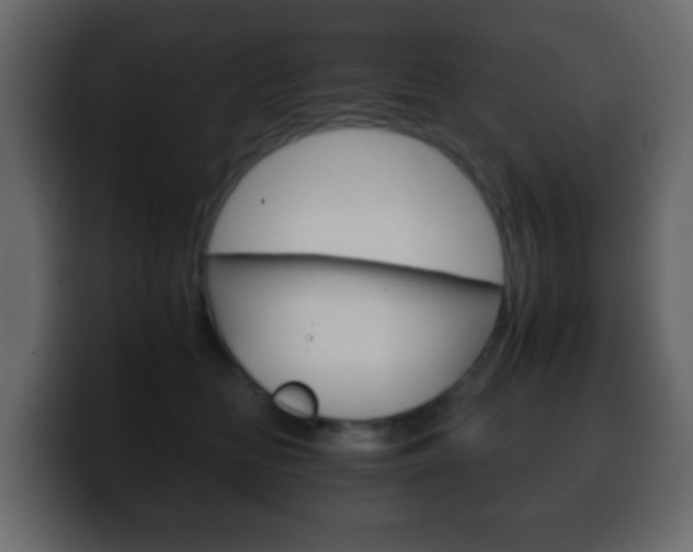 X0000100400518200806060857