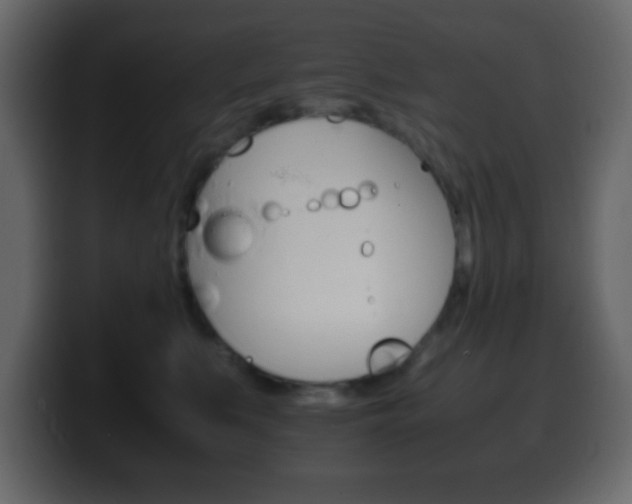X0000100400519200806060857