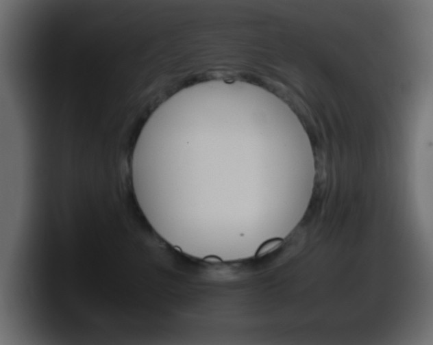 X0000100400523200806060857