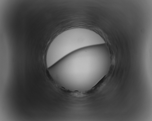 X0000100400524200806060857