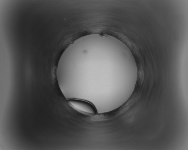 X0000100400525200806060857