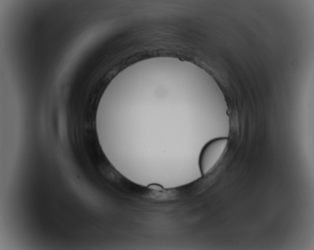 X0000100400526200806060857