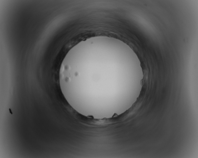 X0000100400527200806060857